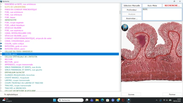 Physioscan--1-